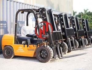 Tại sao nên lựa chọn thuê xe nâng hàng ở Vũng Tàu?